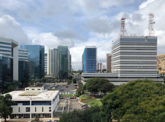 Árvores em meio a edifícios na Asa Norte do Plano Piloto de Brasília