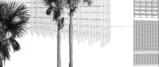 Brasília retomada pelo Cerrado