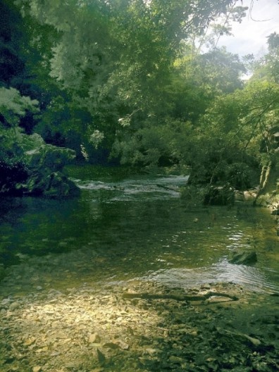 Reserva natural do Rio Claro
