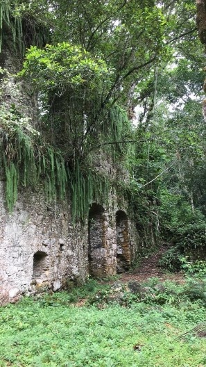 Ruínas do Engenho da Lagoinha, vista interna da lateral, Ubatuba SP