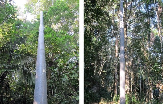 Ponta Negra, Paraty RJ, implantação de energia elétrica
