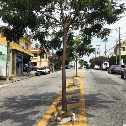 Rua Patrocínio Paulista, arborização no asfalto, Cidade Patriarca, São Paulo