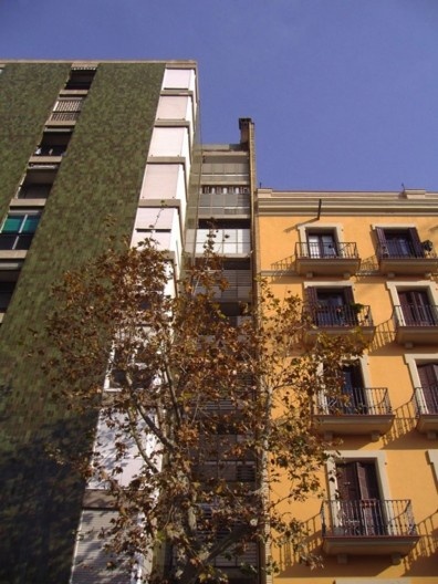 Foto Nicolás Sica Palermo