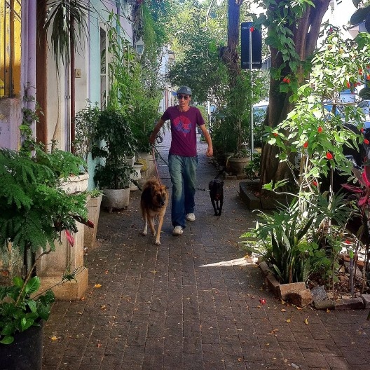 \"Andar é acionar os cinco sentidos. É estabelecer uma relação visualmente intensa e íntima com a cidade\".