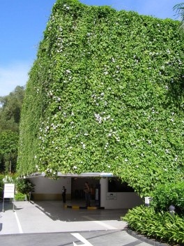 Prédio de estacionamento de uma marina em Cingapura, coberto com trepadeiras