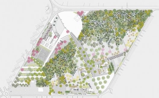 Florescimento Outono