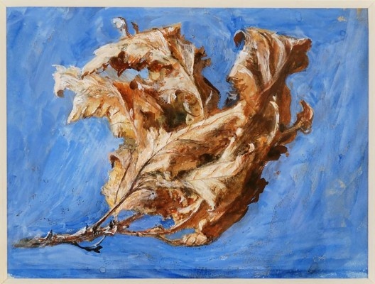 À luz de John Ruskin