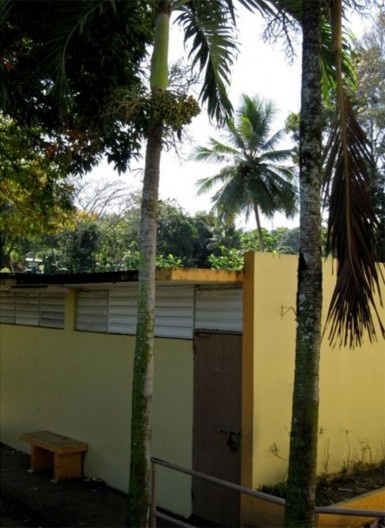 Escola primária Dr. Pedro N. Ortiz, construída segundo influência das obras escolares do arquiteto Richard Neutra