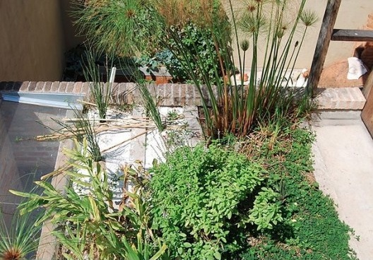 Casa do arquiteto, tratamento biológico, Butantã, São Paulo, 2012. Arquiteto Tomaz Lotufo