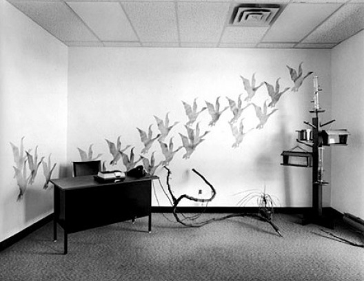 Lynne Cohen. Occupied Territory. 1987