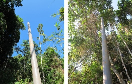 Ponta Negra, Paraty RJ, implantação de energia elétrica