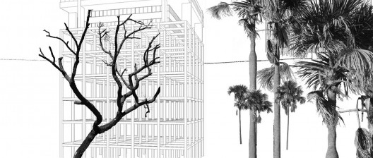 Brasília retomada pelo Cerrado