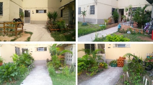 Exemplos de jardins no Conjunto Ismael Silva – Zé Keti