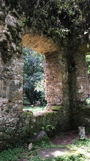 Ruínas do Engenho da Lagoinha, detalhe vão de janela, Ubatuba SP