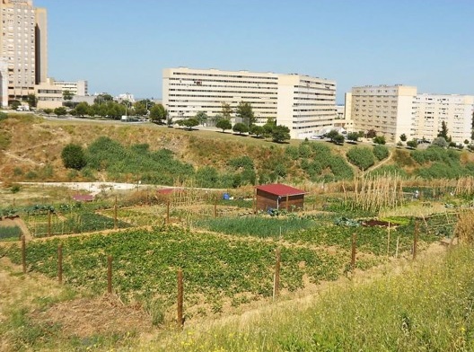 Horta urbana em Portugal