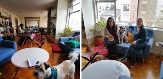 Escritório de Caá Porá em Quito, Equador