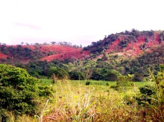 Solos superficiais expostos à erosão por seqüência descontrolada e predatória de desmatamento, agricultura e pecuária. Região de Governador Valadares - MG
