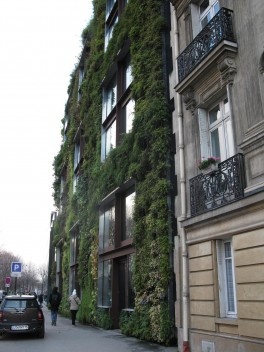 Foto Carlos Smaniotto, 2009