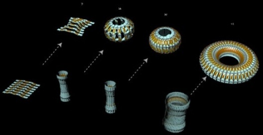 Figura 1: Animações usadas para definir a forma de uma membrana flexível, em trabalho apresentado por Earl Mark, da Universidade da Virginia