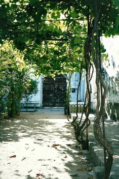 Tetos de sombra perfumada, Olinda, 2005.