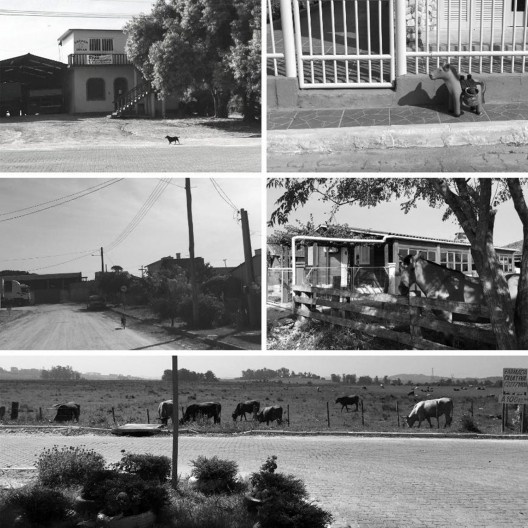 Coletânea 7: animais