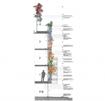 Descrição do corte