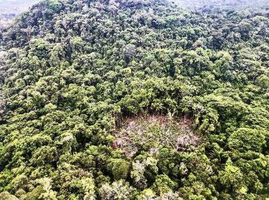 O sistema agroflorestal do Rio Negro: “A floresta Amazonica è um grande jardim cultivado por tecnologias ancestrais, formas de landscape design que apontam para um outro futuro, rumo à reparação da terra, como solo e como planeta”