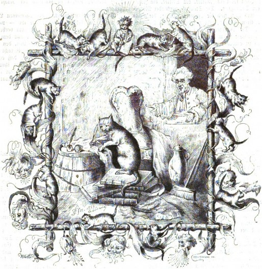Desenho do Rei Ferdinando de Portugal do gato Murr, de 1859