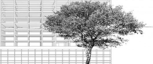 Brasília retomada pelo Cerrado