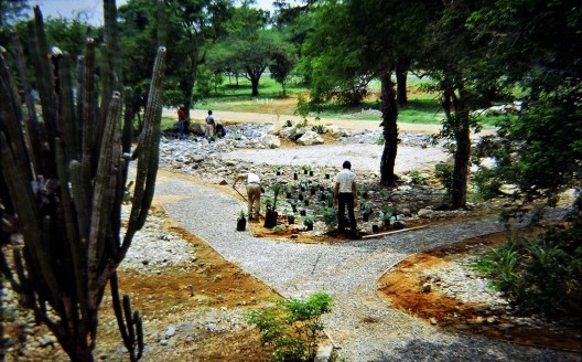 Crassuletum: última etapa plantio da vegetação de coleção