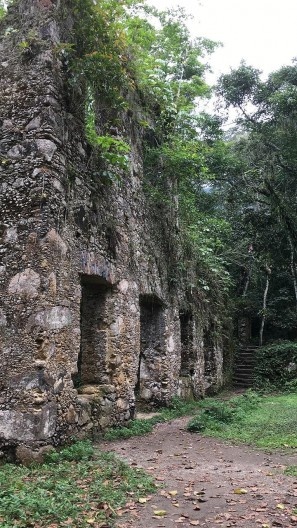 Ruínas do Engenho da Lagoinha, vista da lateral do conjunto, Ubatuba SP