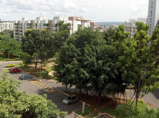 Área verde da SQN 309, o interior da quadra se mantém arborizado