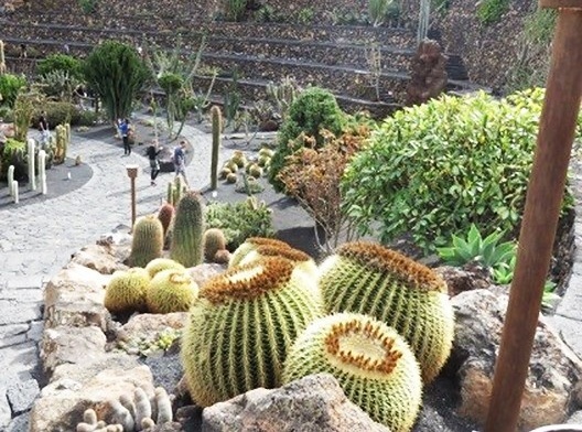 Jardín de Cactus