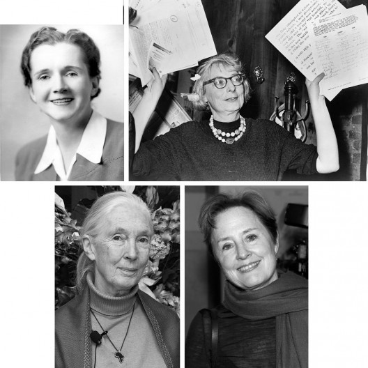 Mulheres visionárias da crise moderna
