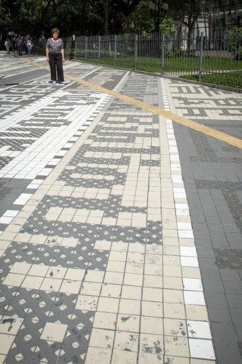 Paraler, Regina Silvestre na intervenção recém finalizada. Regina Silveira