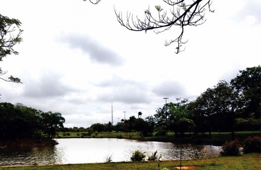 Paisagismo do Parque da Cidade em Brasília DF Brasil