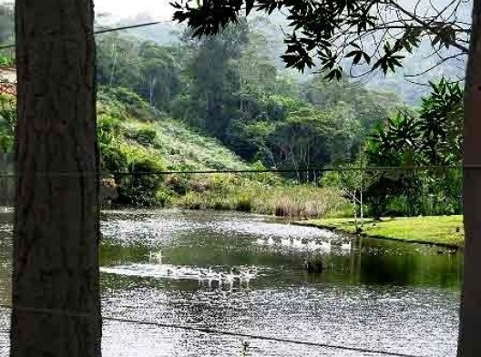 Área residencial da Reserva Biológica Augusto Ruschi. Estrada para Nova Lombardia, Santa Teresa ES