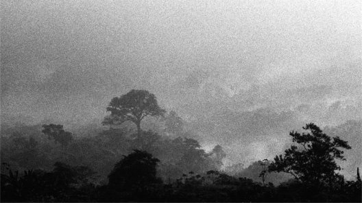 Serra do Mar no Estado de São Paulo