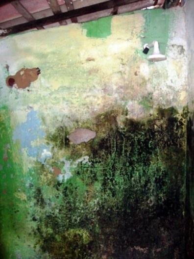 Exemplar do uso compartilhado de áreas molhadas das HCPAs levantadas