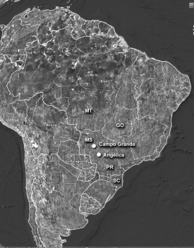 Fig. 01 – Localização da área de estudo