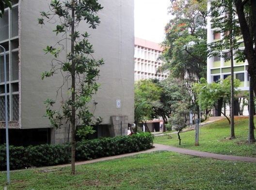 Edifícios e vegetação em superquadra em Brasília, 2012