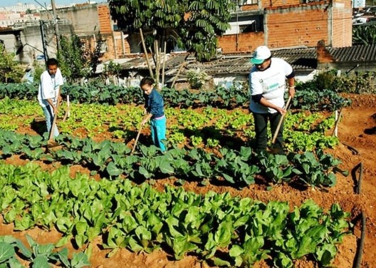 Horta urbana na favela no Rio de Janeiro