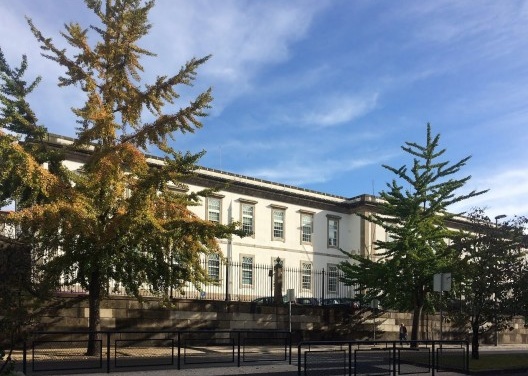 Arredores da Casa da Música, Porto