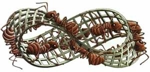 Moebius Strip II. M.C. Escher, 1963