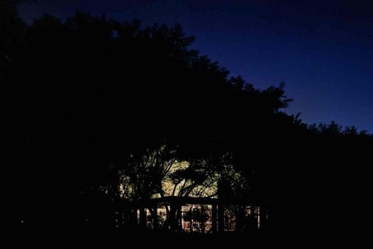 Parque da Juventude, São Paulo, 2003-2005. Paisagismo de Rosa Kliass