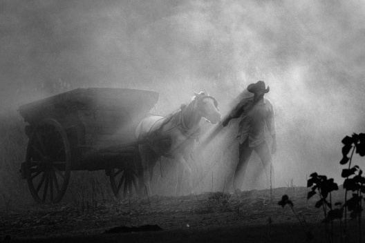 Fazenda de tulha, Mococa, São Paulo. 2011