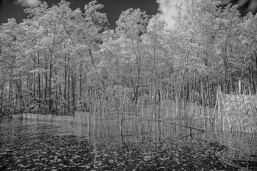 Hiléia, exposição de fotografias na Galeria Rabieh