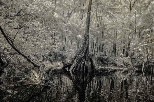 Hiléia, exposição de fotografias na Galeria Rabieh