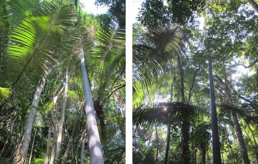 Ponta Negra, Paraty RJ, implantação de energia elétrica