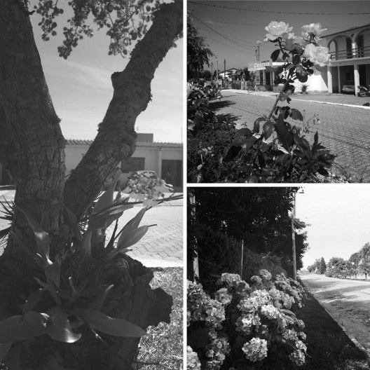 Coletânea 8: jardins públicos